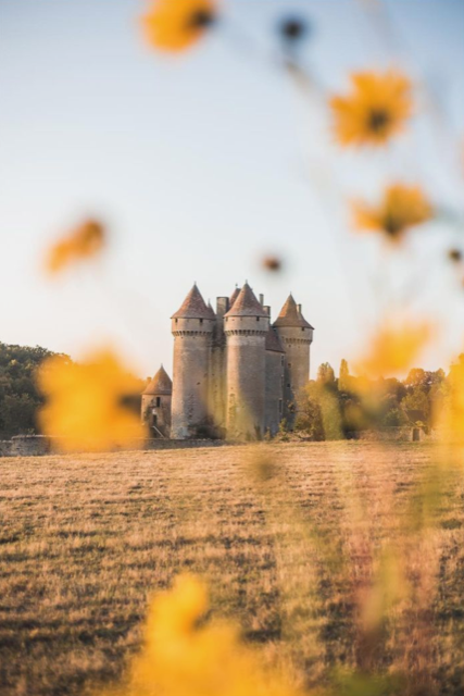 Château de Sarzay, Sarzay - photo 6