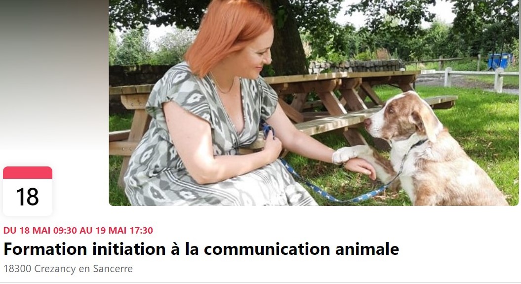Initiation à la communication animale (1/1)