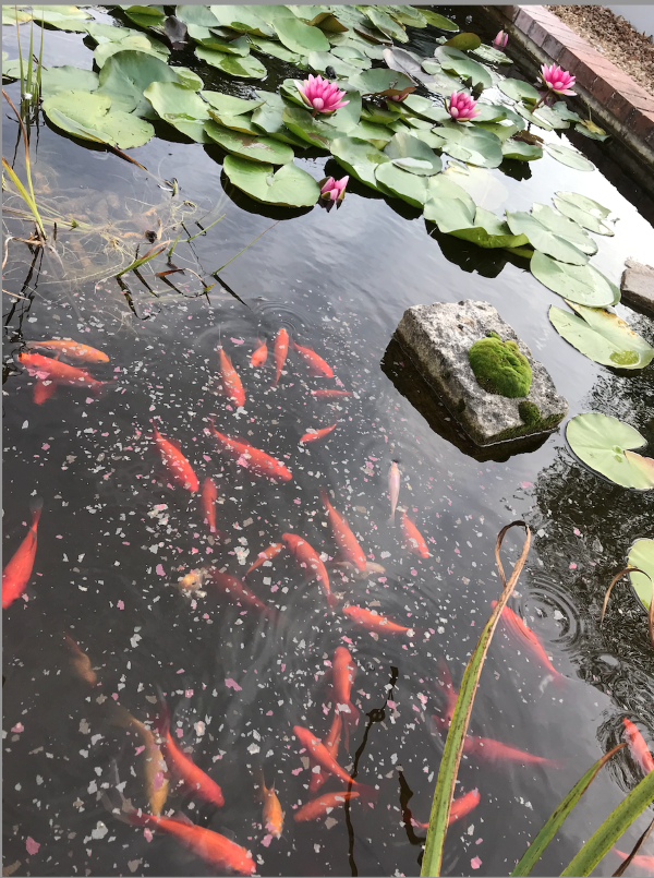 La Fontaine du Tonneau, Reuilly - photo 8