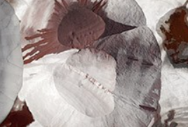 Expositions d'Automne