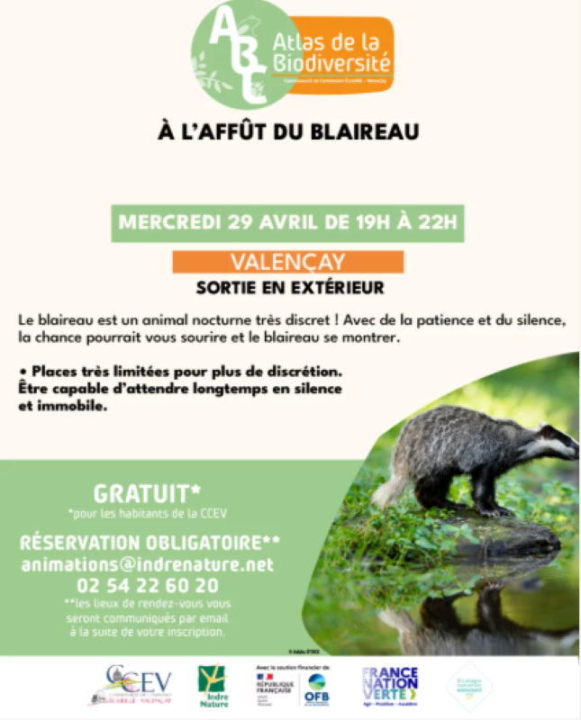 Sortie nature - À l'affût du blaireau — visuel événement