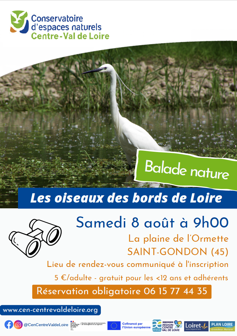 Balade nature : Les oiseaux des bords de Loire