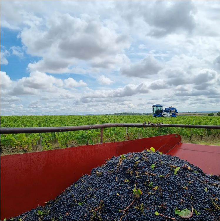 Domaine de Loye — photo 3