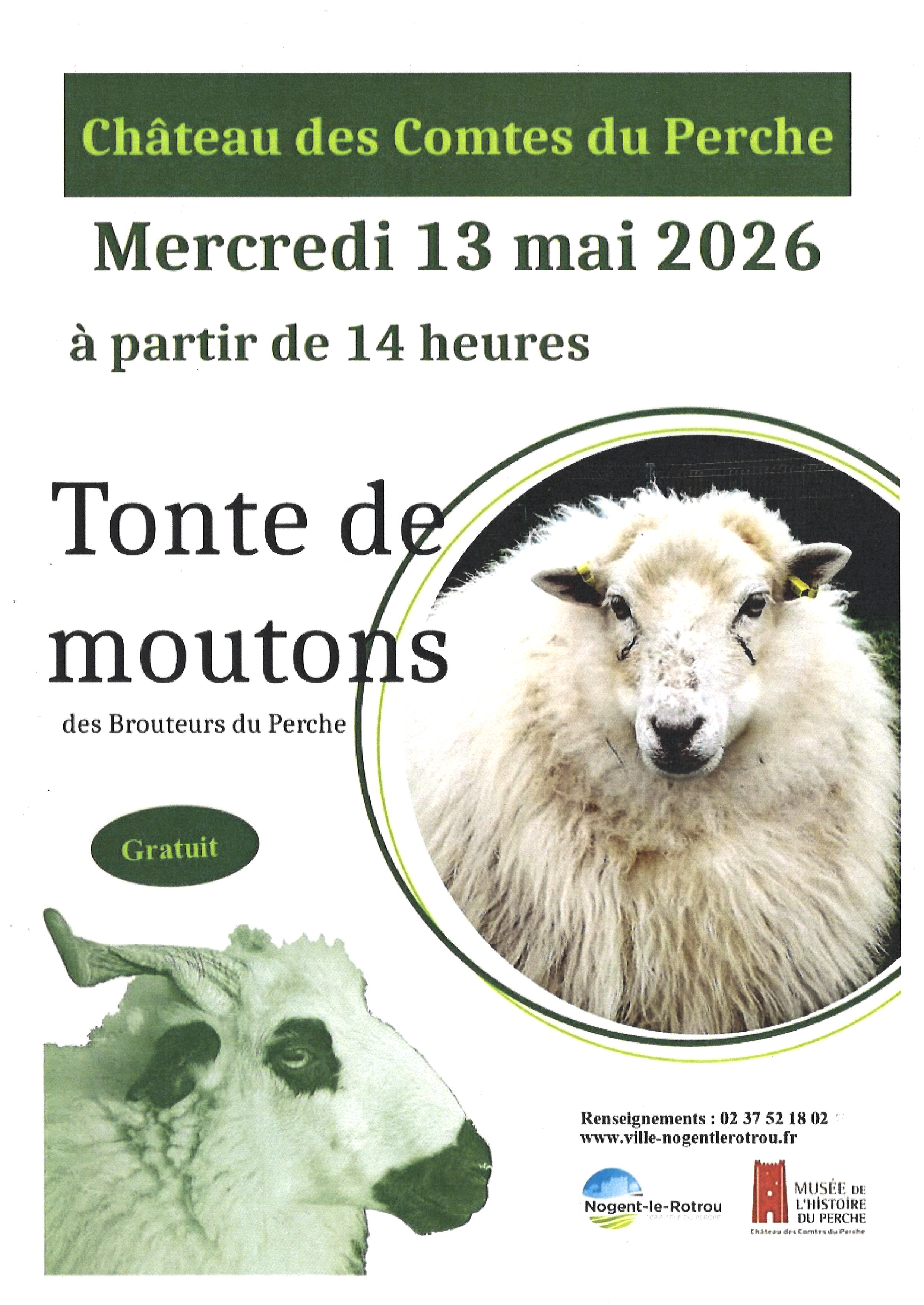 Tonte de moutons — visuel événement