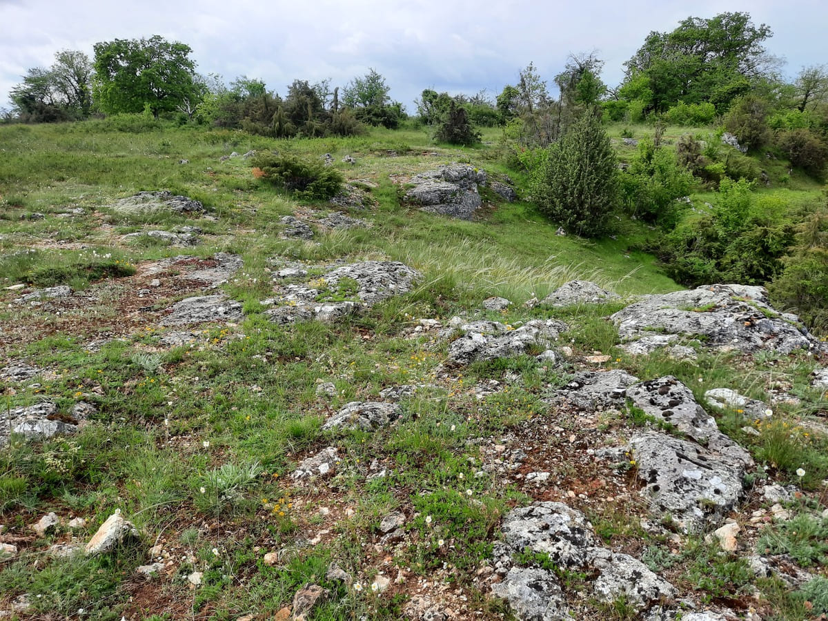 Espace Naturel Sensible des Chaumes de la Périsse, Dun-sur-Auron