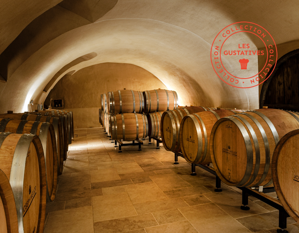[Vignobles en scène ] Entre histoire, vin et terroir : l’expérience Joseph Mellot