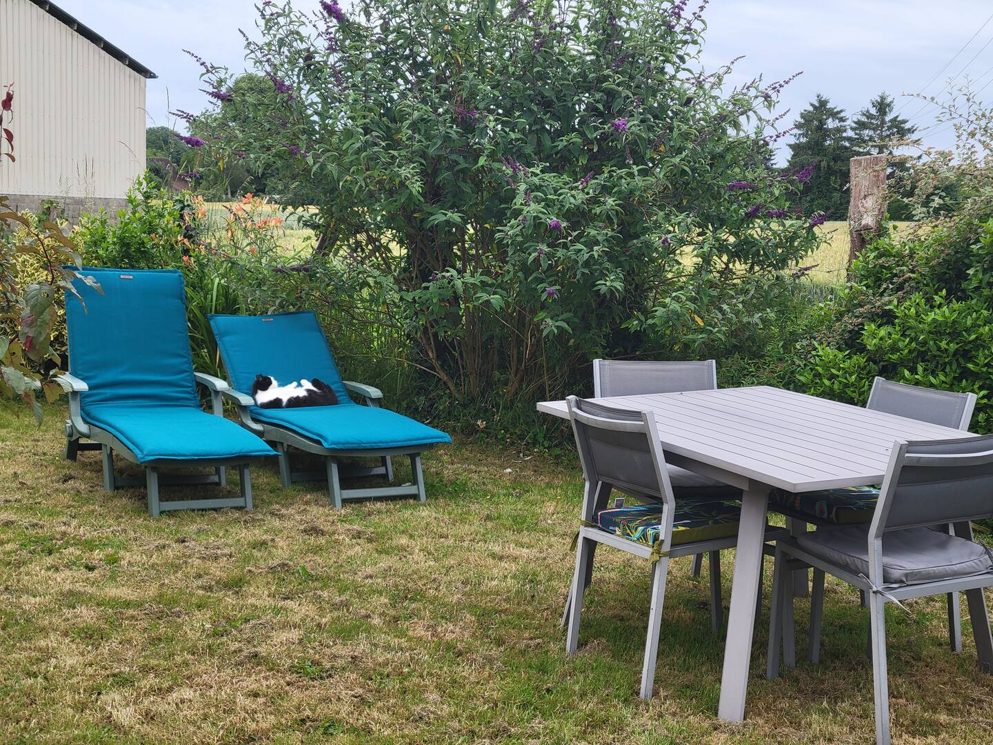 Une Pause au vert