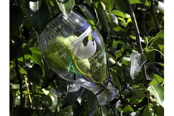 COVIFRUIT eau de vie et apéritif d'Olivet