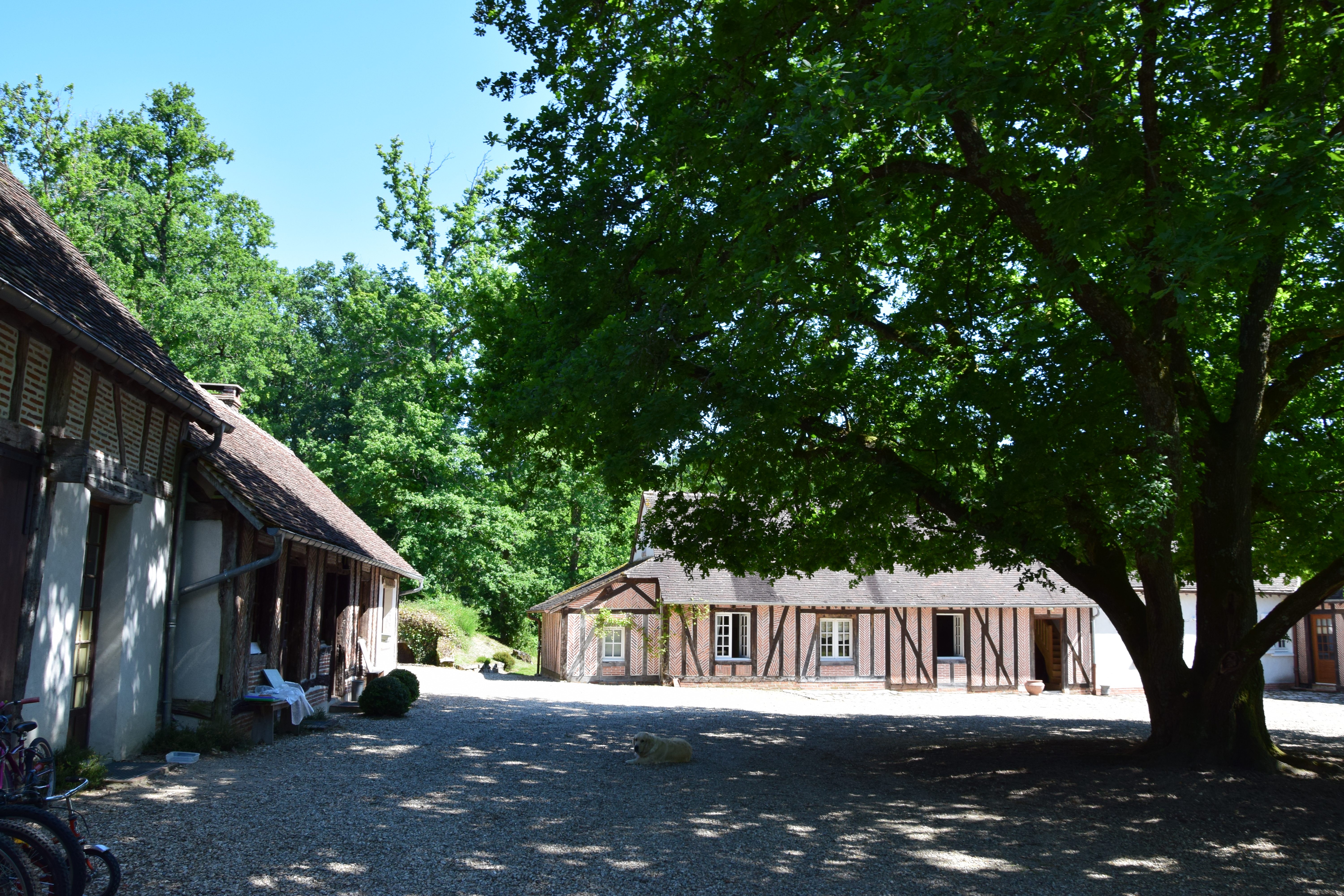 Les Vieux Guays, Cerdon - photo 3