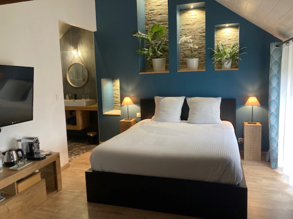 Domaine de Basse Chancelée, Ligré