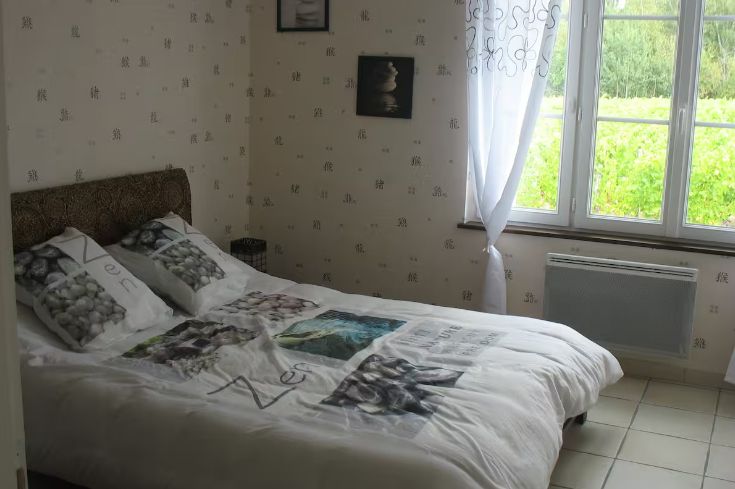 Gîte de bel air, Seigy - photo 9