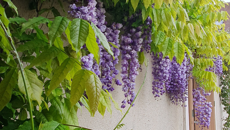 Les Conviv'hôtes, Chartres - photo 4