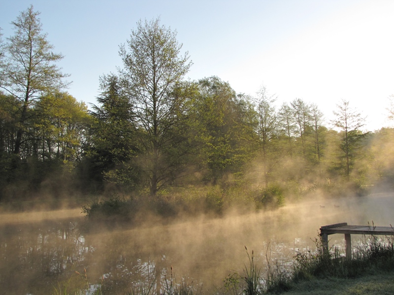 La grange aux herbes, Thoury - photo 11