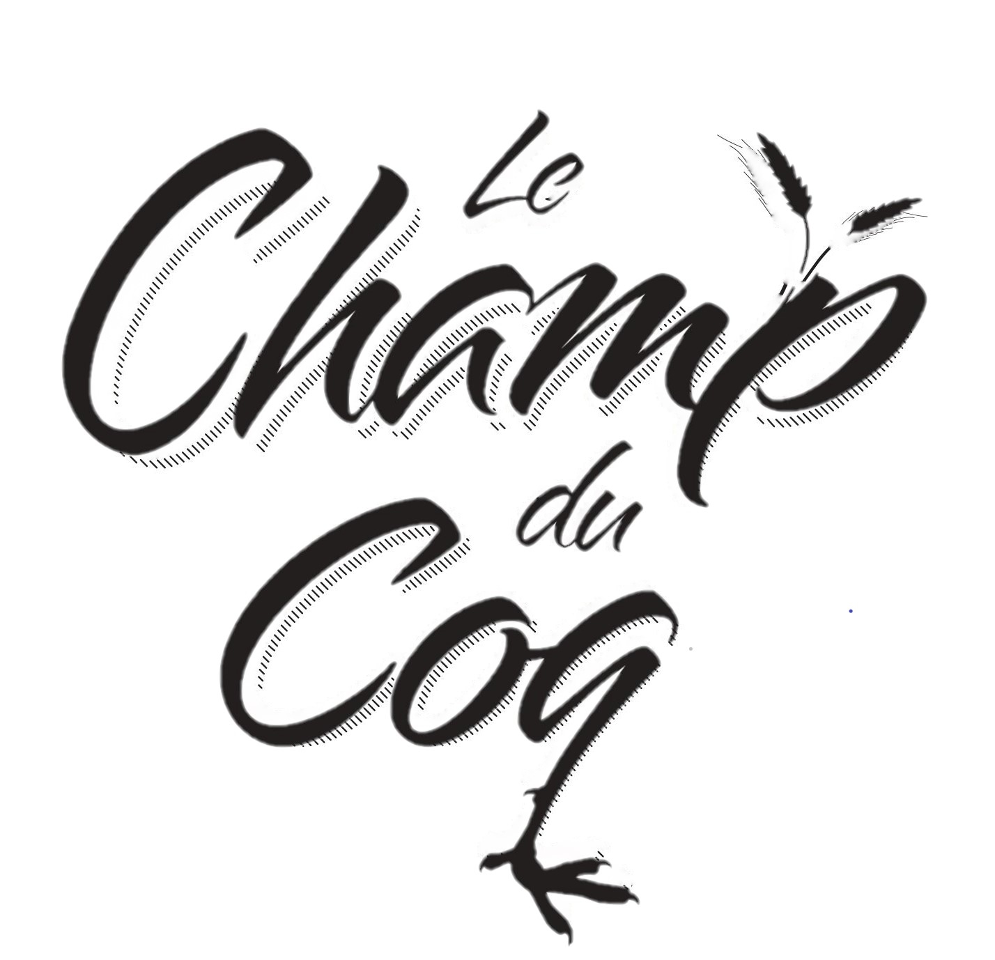 Le Champ du Coq  France Centre-Val de Loire Cher Bourges 18000