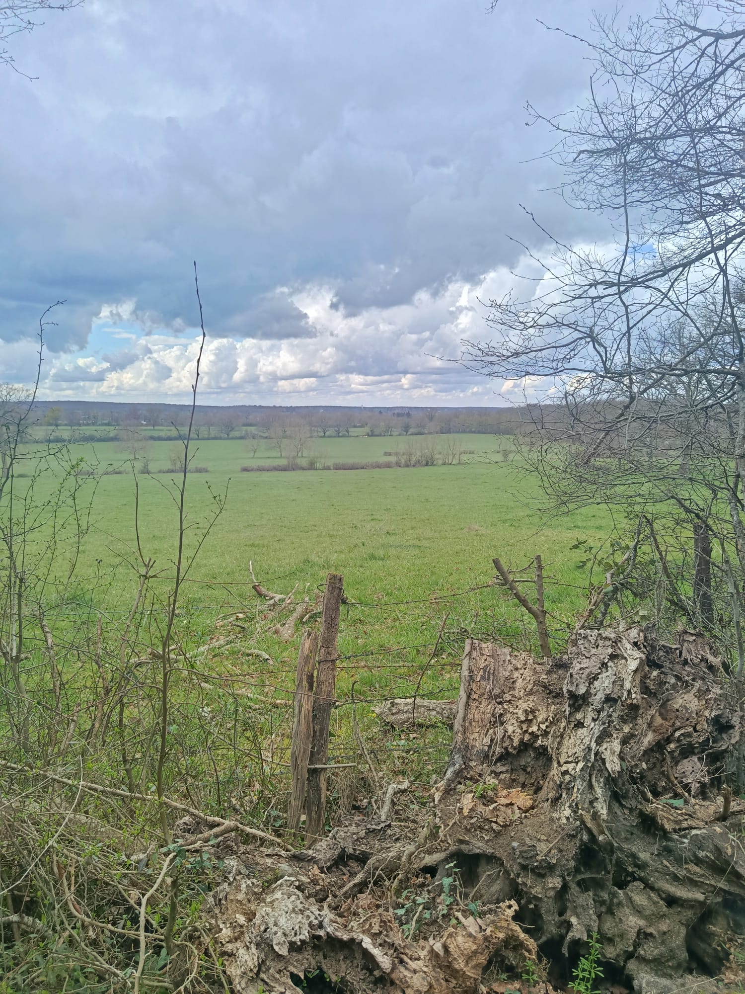 Suivez la huppe- La celle, La Celle - photo 3