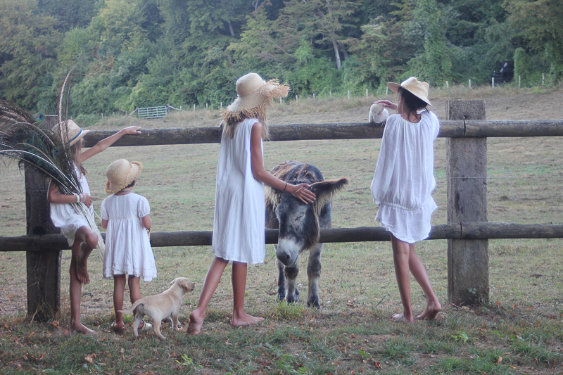 Château d'Hodebert, Saint-Paterne-Racan - photo 22