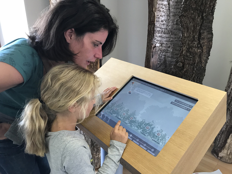 Château de Senonches - Forêt d’Histoires, Senonches - photo 6