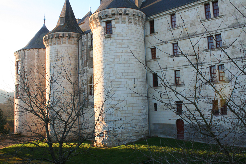 Château de la Guerche, La Guerche - photo 3