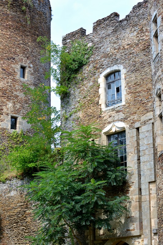 Forteresse médiévale de Châteaubrun