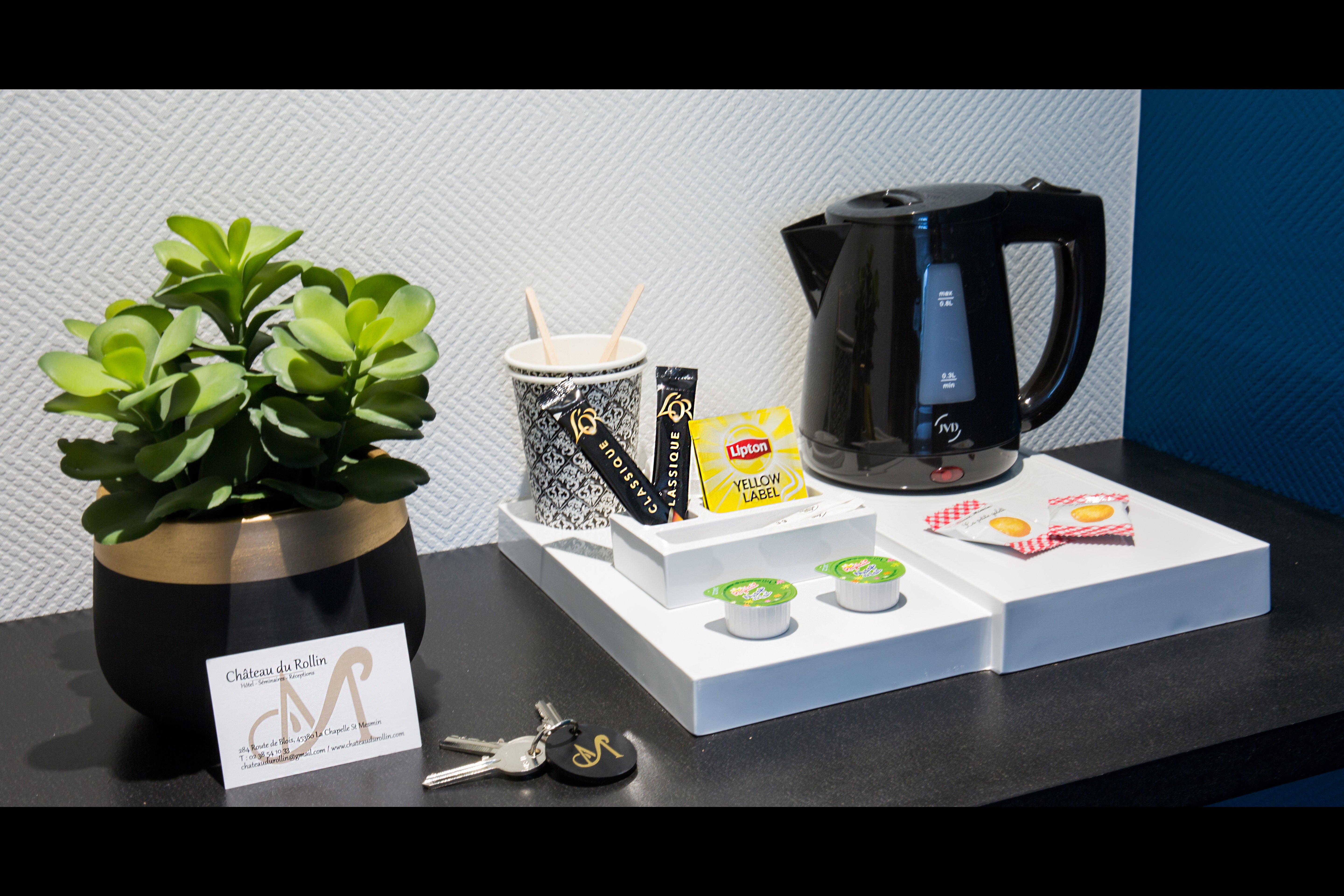 Domaine du Château du Rollin, La Chapelle-Saint-Mesmin - photo 8