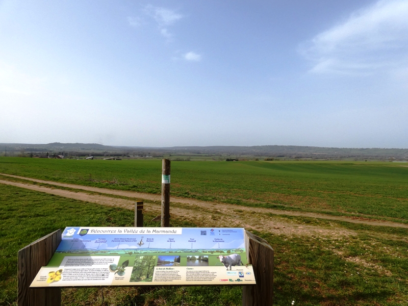 Le chemin de randonnée de Meillant à Tronçais