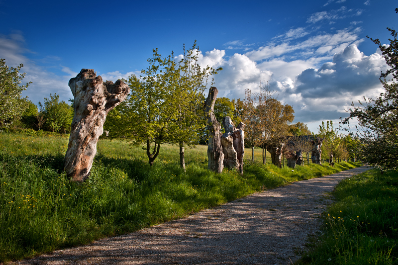 Les trois chemins/Chemin des Trognes  France Centre-Val de Loire Loir-et-Cher Boursay 41270