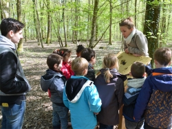 L'éducation à la nature au Domaine de Chenonville