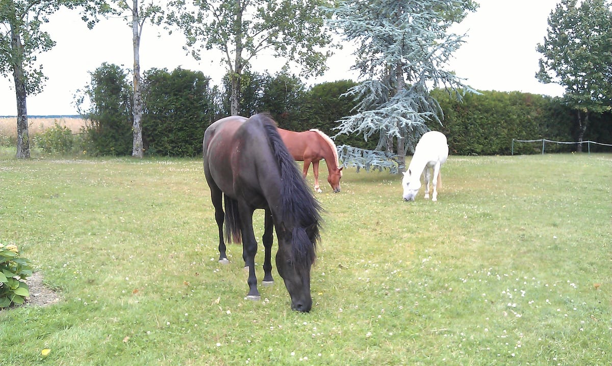 Domaine Tous-Vents - Gîtes insolites, Saunay - photo 10