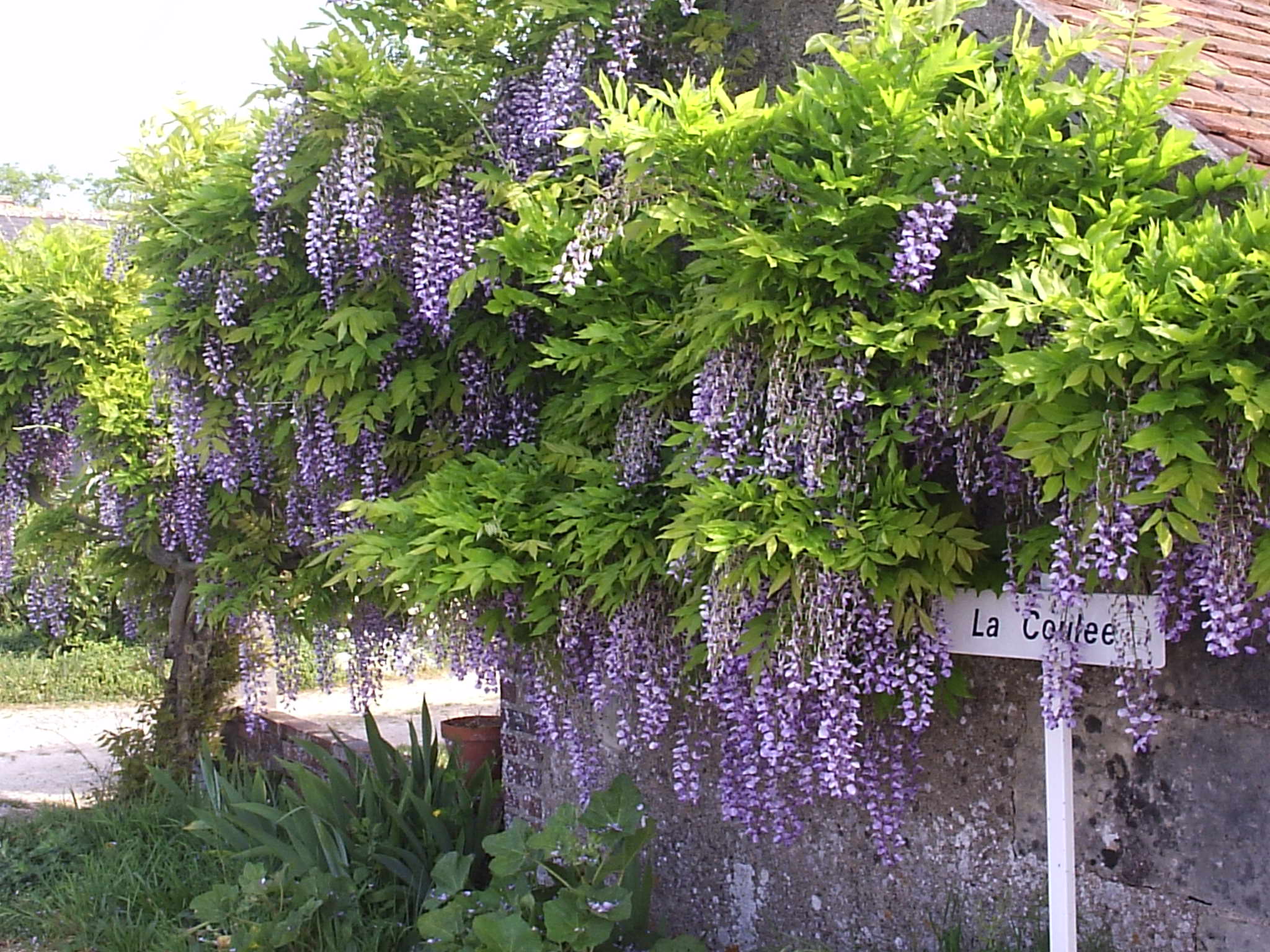 Petit Gîte - Chez Laurette, Morand - photo 4