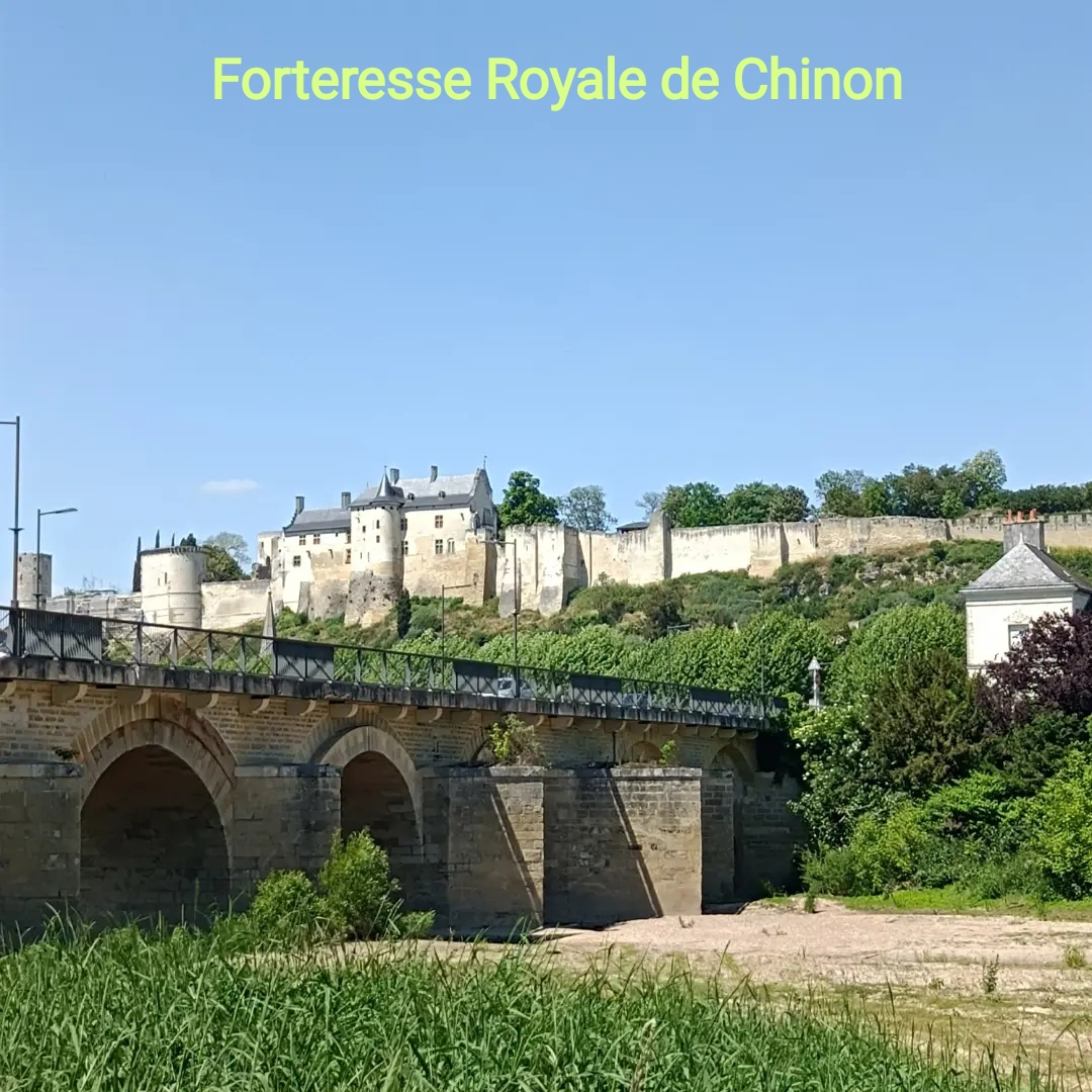 Gîte "Roses de Loire", Bréhémont - photo 3
