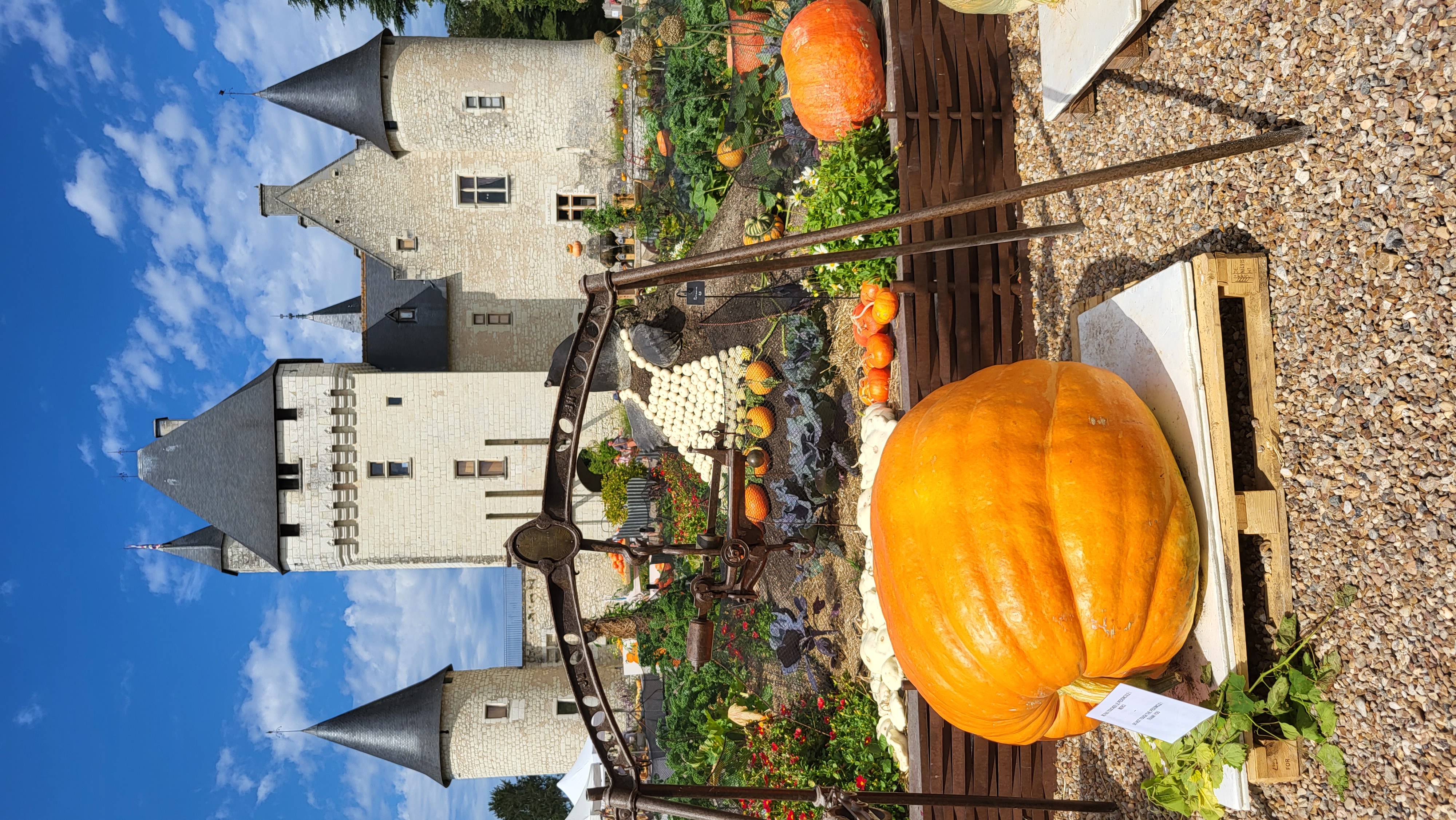 Fête de la citrouille et de l'automne au Château du Rivau (2/2)