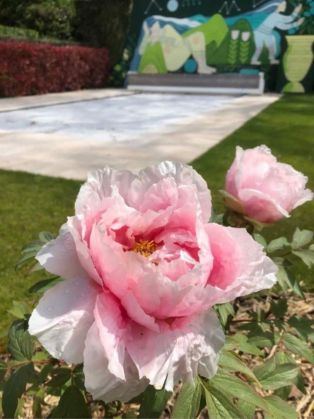 Le Clos du Petit Dannezy - Logis Sainte Anne