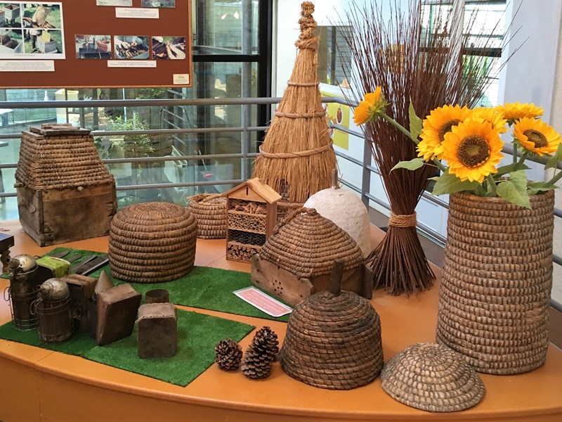 Maison des Abeilles, Ingrandes - photo 3