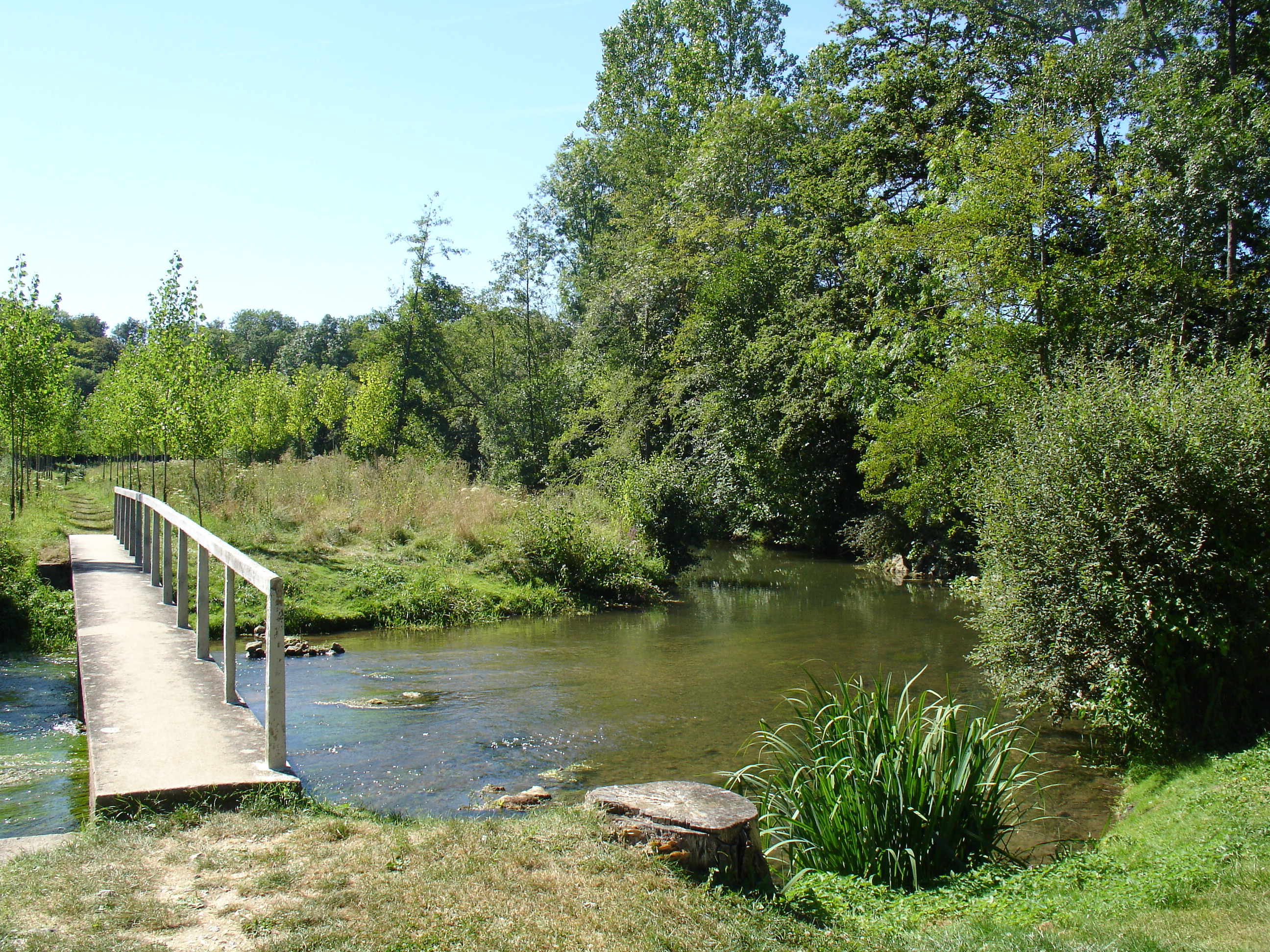 La rencontre giboyeuse, Conflans-sur-Loing - photo 2