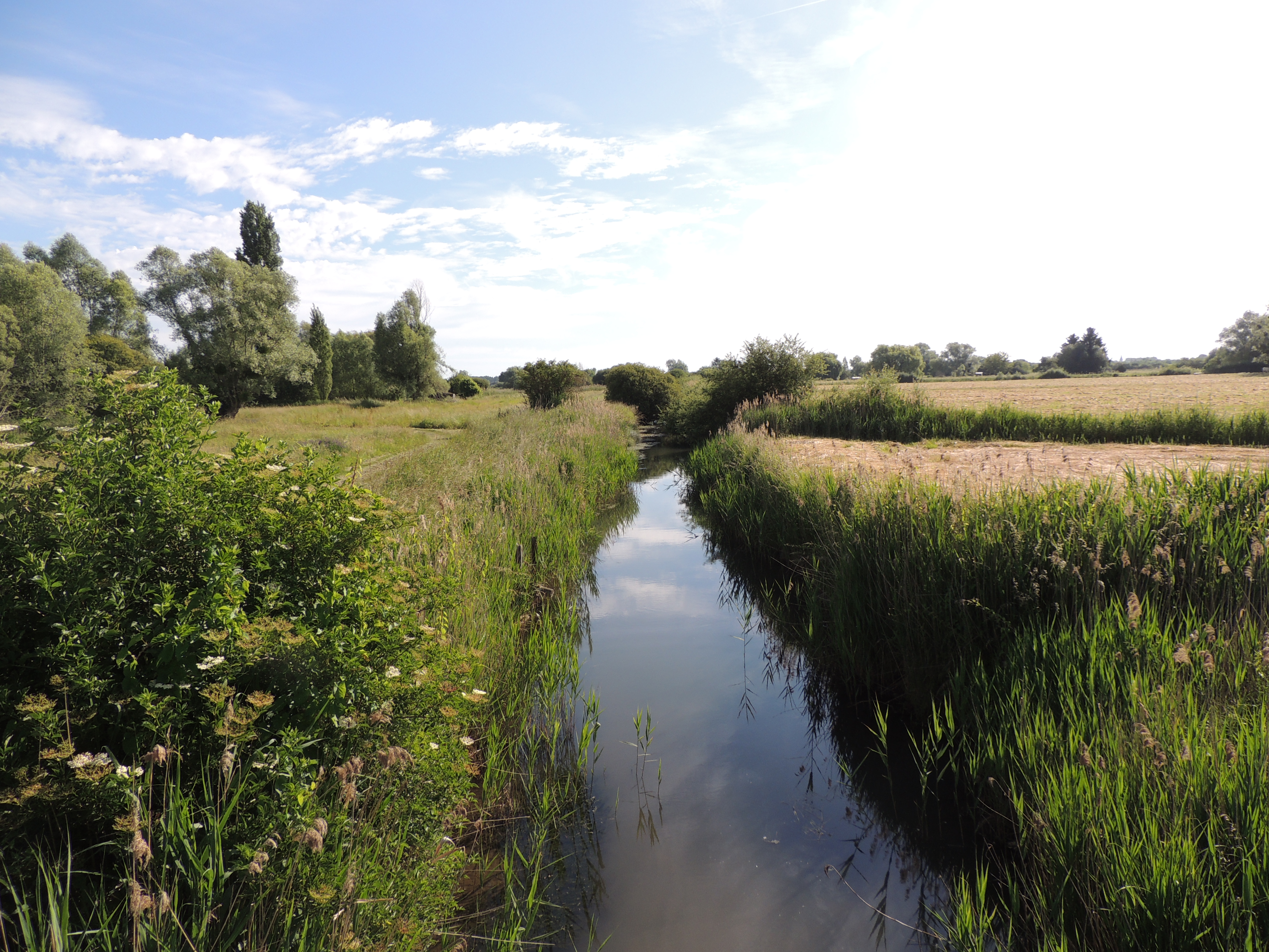 À la découverte du Marais de Contres