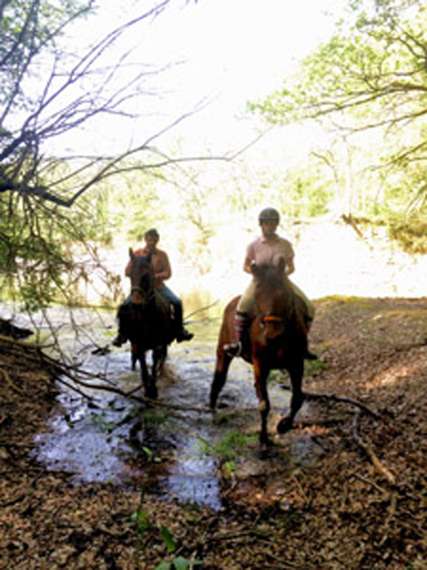 La Brenne à cheval : circuits en marguerite au départ du domaine du Coudreau, Vendœuvres - photo 2