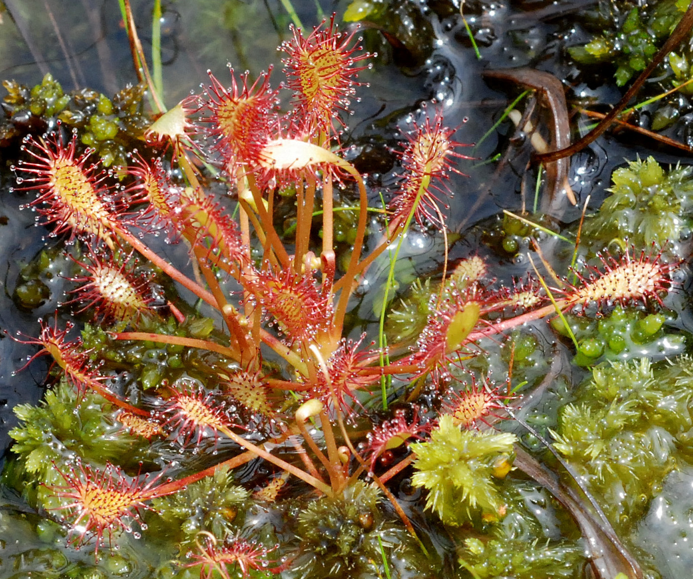 Site de la Maison de l'Eau, Neuvy-sur-Barangeon - photo 3