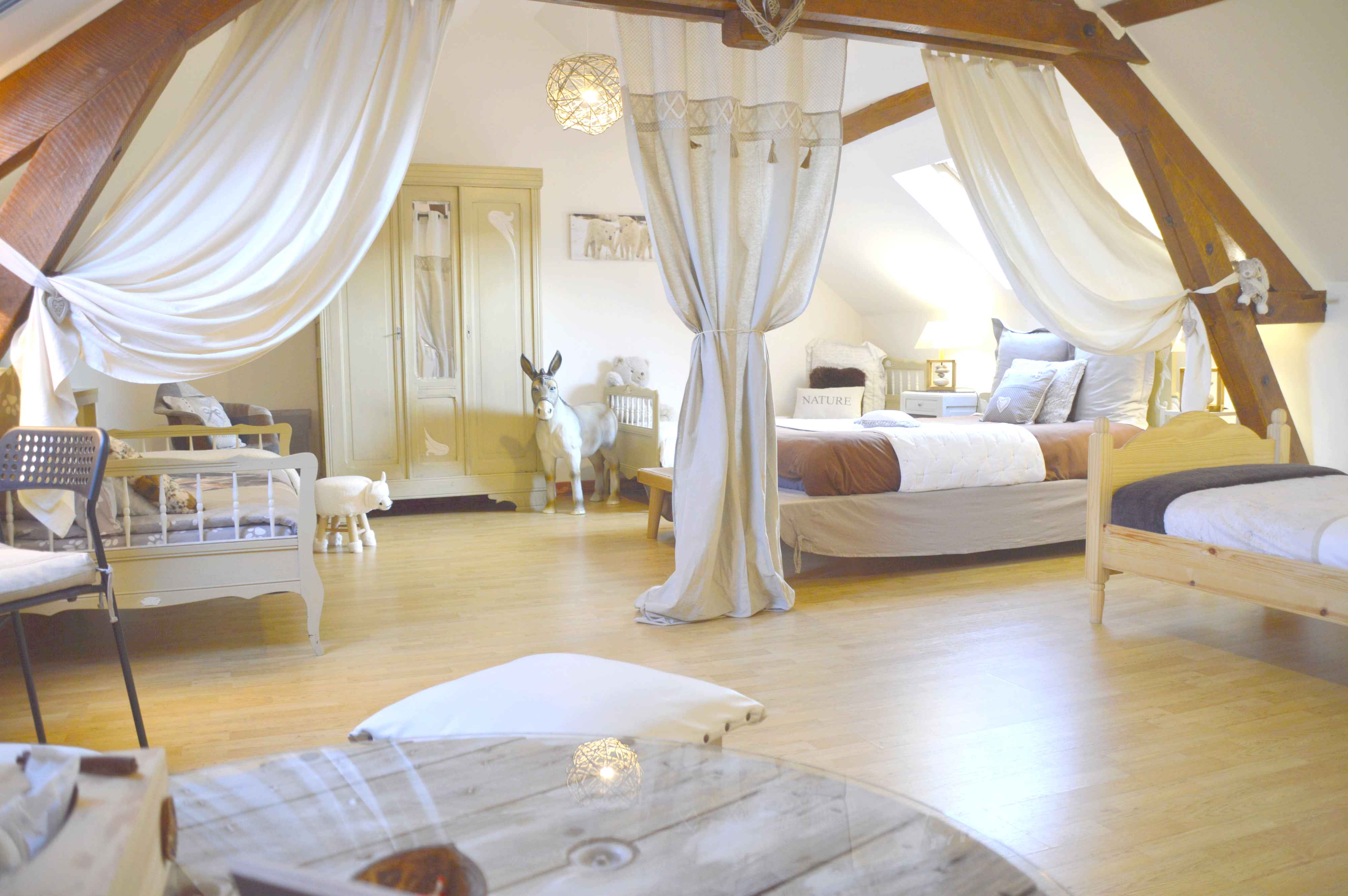 L'amettoise, Selles-sur-Cher - photo 5