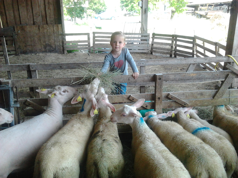 Ferme de la Charité — photo 3