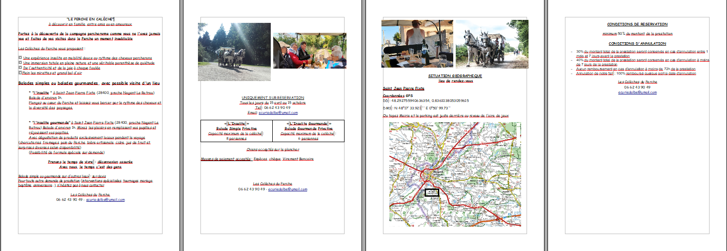 Les calèches du Perche - Ecurie d'Albe, Saint-Jean-Pierre-Fixte - photo 3