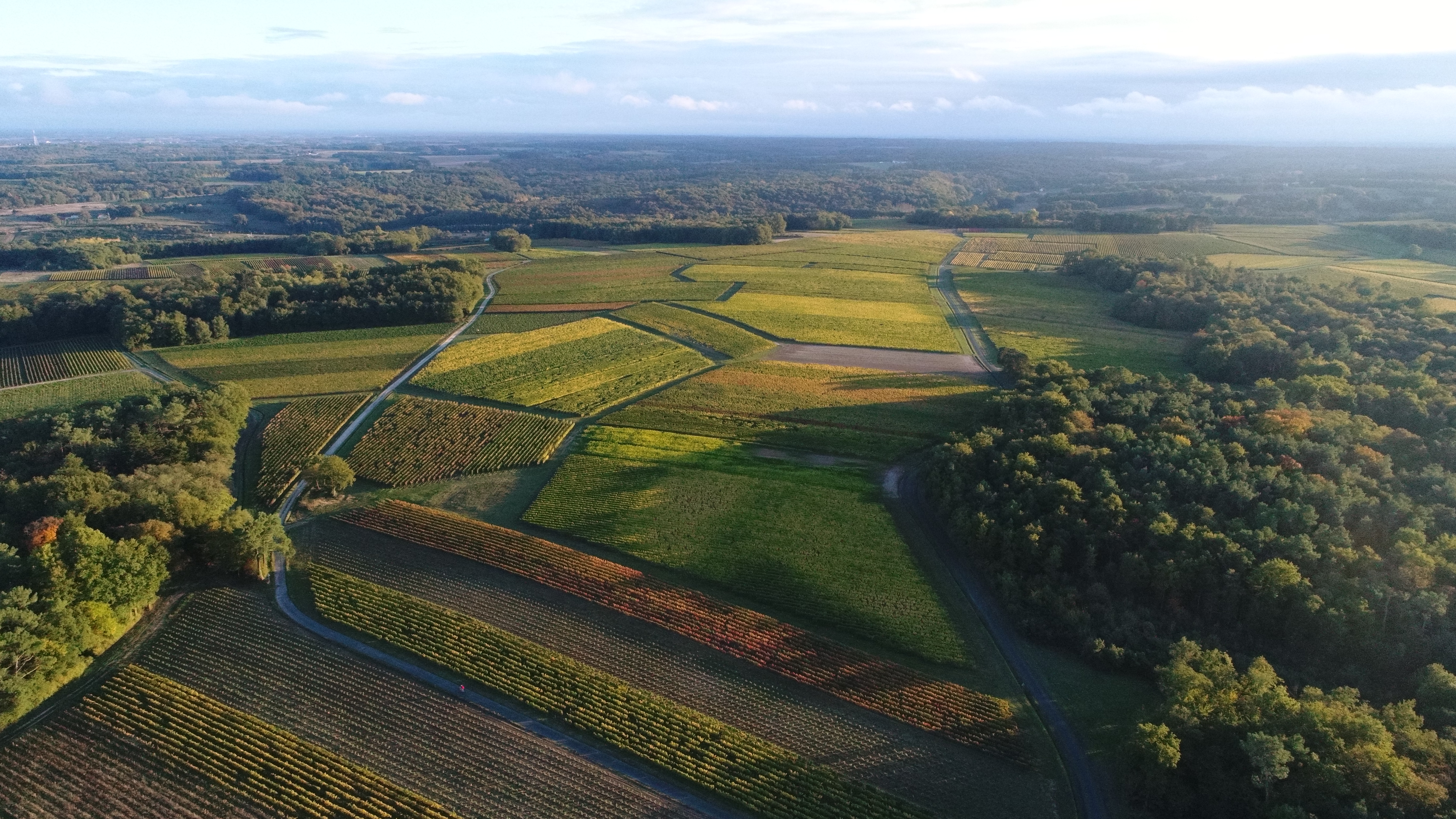 Domaine joël delaunay — photo 3