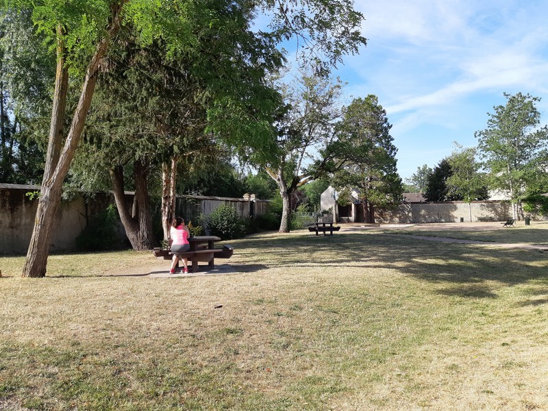 Aire de pique nique au jardin de Wiesenbach à Donnery, Donnery - photo 2