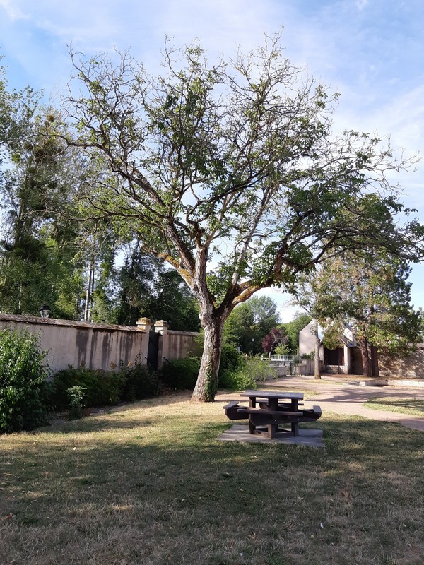 Aire de pique nique au jardin de Wiesenbach à Donnery