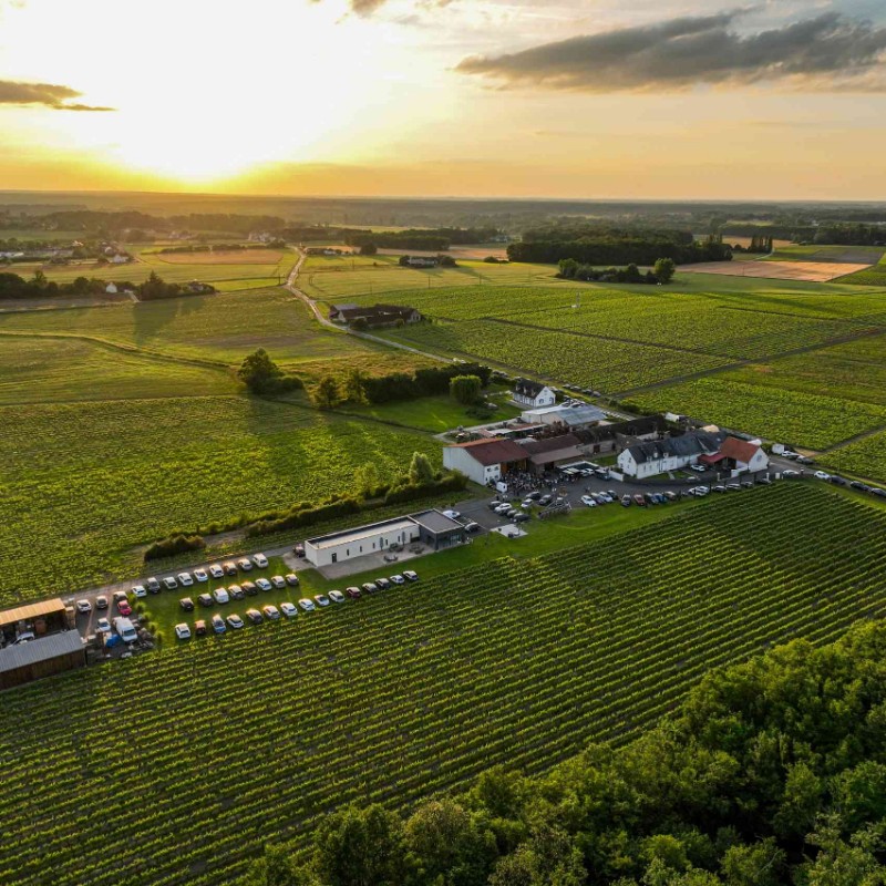 Domaine Daridan