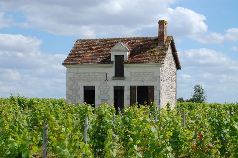 GR de Pays de Valençay - Boucle "Vins et Fromages de Valençay", Valençay - photo 2