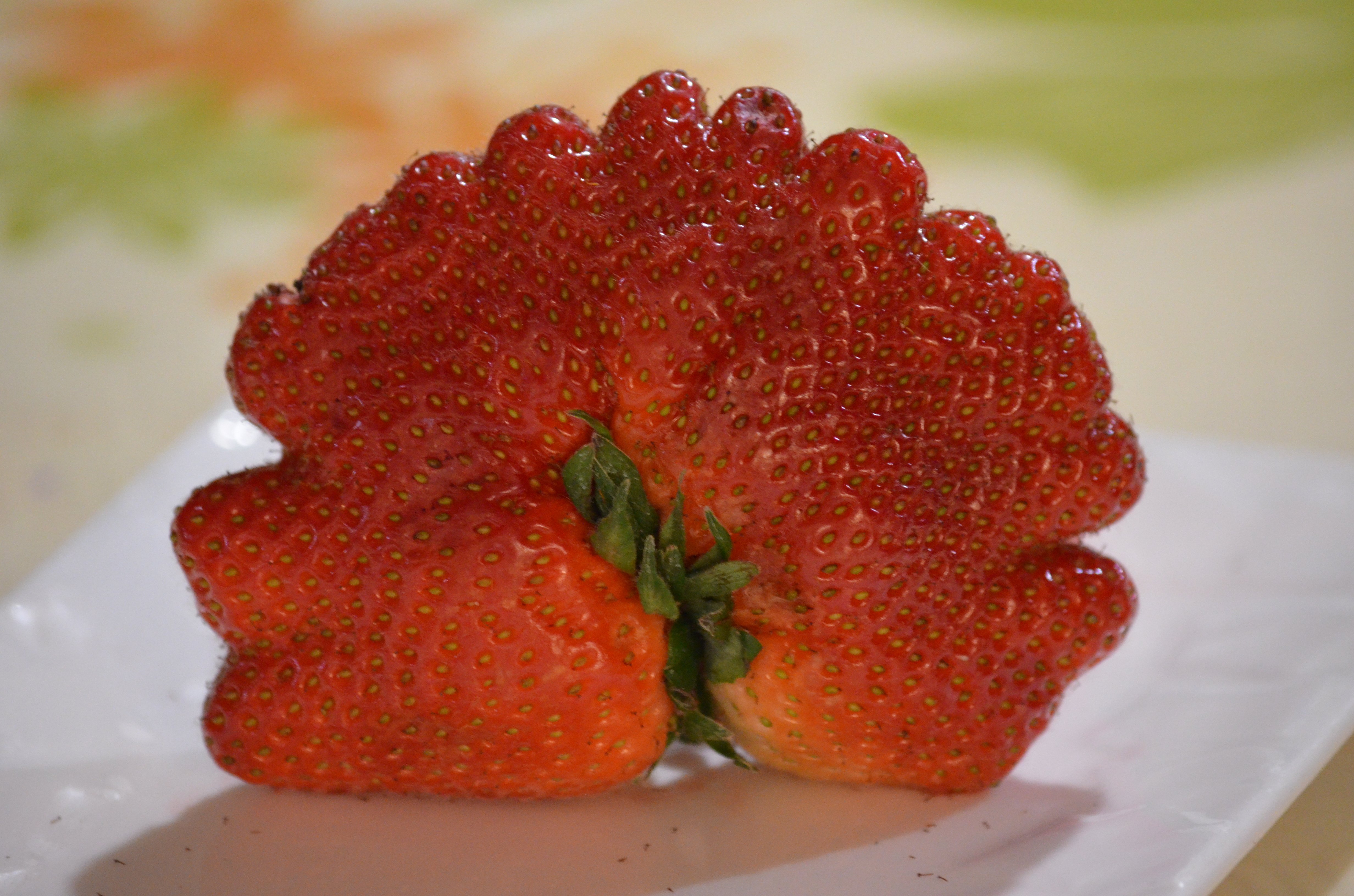 Auberge du Cheval Blanc, Yvoy-le-Marron - photo 5