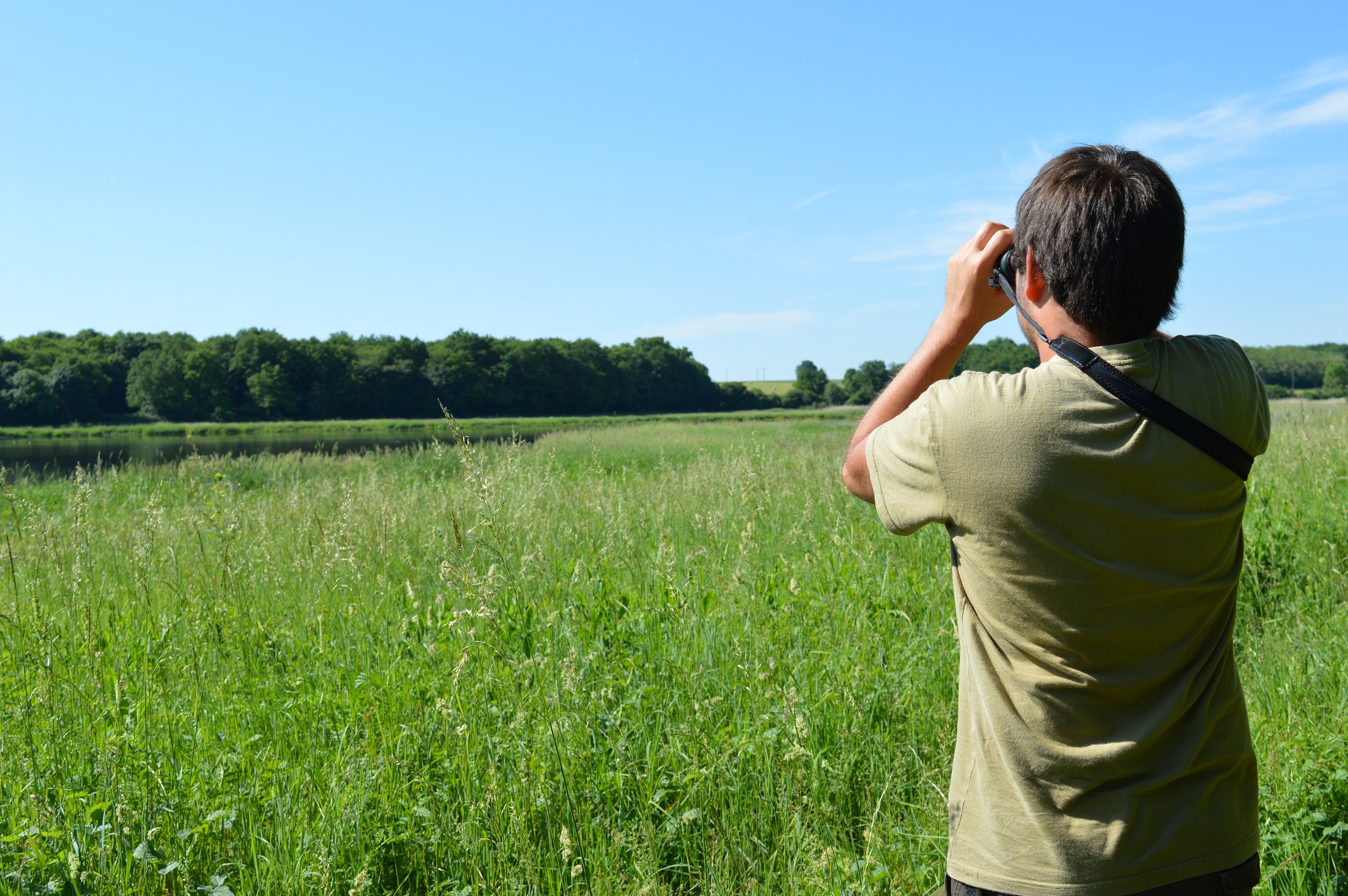 Nature Images Découvertes