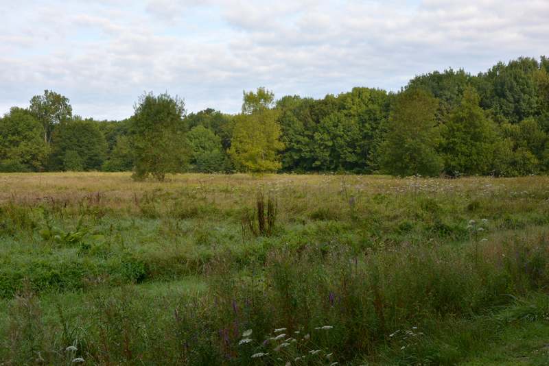 Site de Baltan, Villeherviers