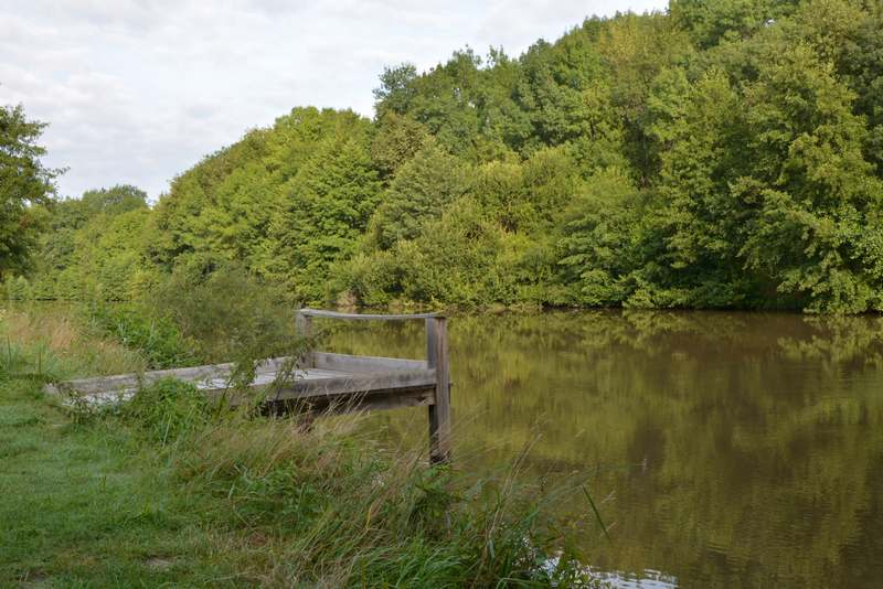 Site de Baltan, Villeherviers - photo 3