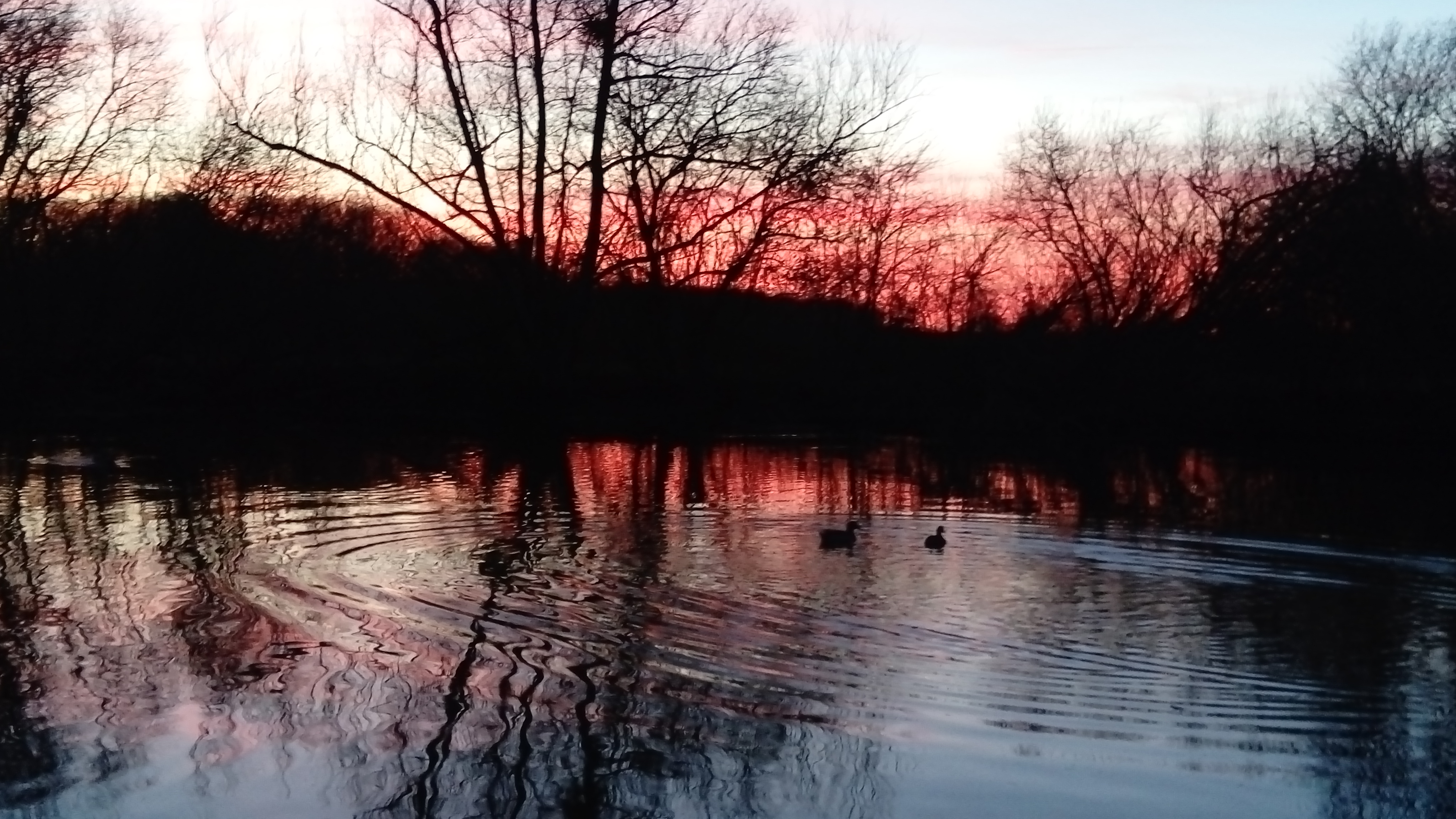 Gîte La Petite Métairie, Dammarie-en-Puisaye